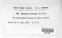 Image Associated With the Occurence
